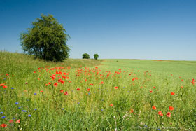 Pomiędzy Reszlem a Ramtami, fot. Krzysztof Majcher