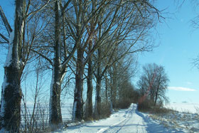 styczeń 2009, fot. Julia Gładych