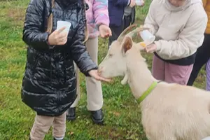  fot.Zespół Szkolno-Przedszkolny w Reszlu