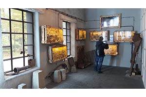 Zdjęcie do artykułu: Zwiedziliśmy Wilczy Szaniec